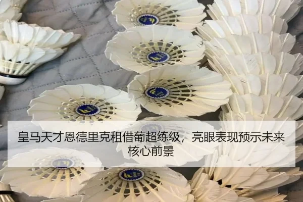 huang-ma-tian-cai-en-de-li-ke-zu-jie-pu-chao-lian-ji-liang-yan-biao-xian-yu-shi-wei-lai-he-xin-qian-jing-3-325.jpg
