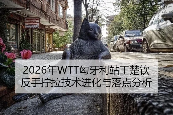 nian-xiong-ya-li-zhan-wang-chu-qin-fan-shou-ning-la-ji-shu-jin-hua-yu-luo-dian-fen-xi-3-138.jpg
